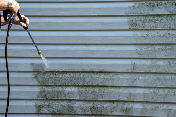 Best Yard Waste Removal  in Iowa, LA